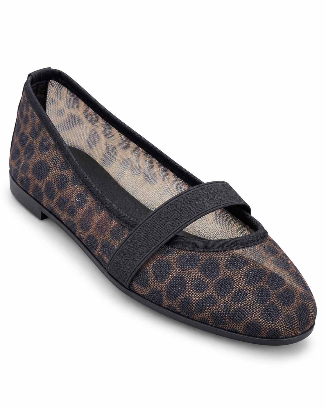 MATIZ-LEOPARDO